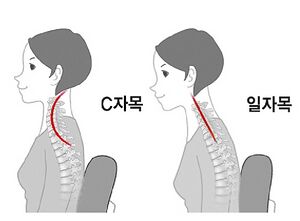 일자목.jpg