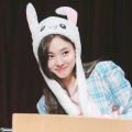 2026년 1월 5일 (월) 19:17 판의 섬네일