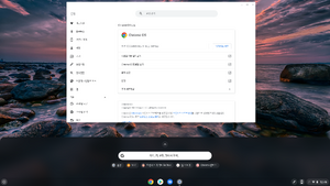 크롬OS 100 스크린샷.png