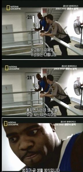 파일:복돌.jpg