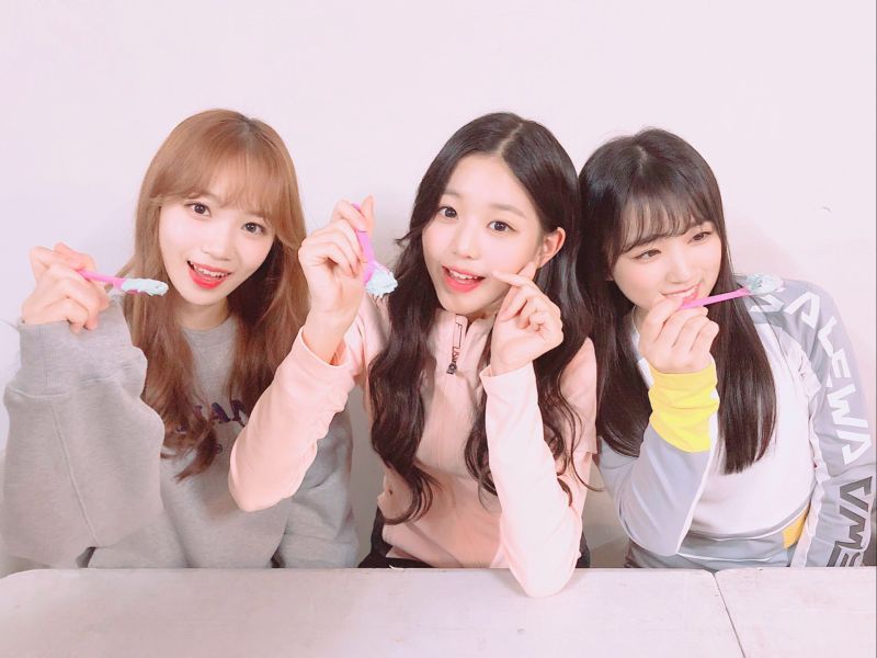 파일:민초단1.jpeg