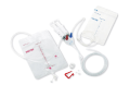 2026년 1월 5일 (월) 19:20 판의 섬네일