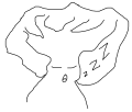 2026년 1월 5일 (월) 19:14 판의 섬네일