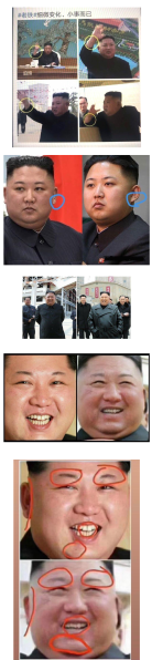 파일:가짜 김정은 의혹.png