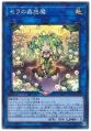 2026년 1월 5일 (월) 19:14 판의 섬네일