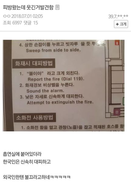 파일:외국인진실.jpg