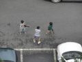 2026년 1월 5일 (월) 19:11 판의 섬네일