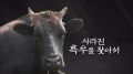 2026년 1월 5일 (월) 19:13 판의 섬네일