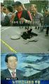 2026년 1월 5일 (월) 19:17 판의 섬네일