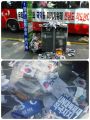 2026년 1월 5일 (월) 19:22 판의 섬네일