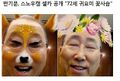 2026년 1월 5일 (월) 19:19 판의 섬네일