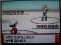 2026년 1월 5일 (월) 19:12 판의 섬네일