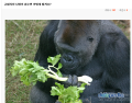 2026년 1월 5일 (월) 19:17 판의 섬네일