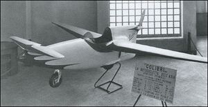 Beltrame colibri.jpg