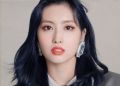 2026년 1월 5일 (월) 19:18 판의 섬네일