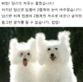 2026년 1월 5일 (월) 19:20 판의 섬네일