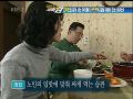 2026년 1월 5일 (월) 19:12 판의 섬네일