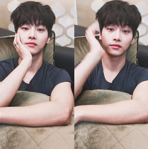 파일:차하견.PNG