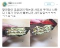 2026년 1월 5일 (월) 19:07 판의 섬네일
