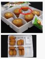 2026년 1월 5일 (월) 19:10 판의 섬네일