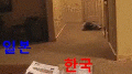 2026년 1월 5일 (월) 19:13 판의 섬네일