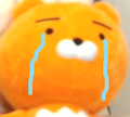 2026년 1월 5일 (월) 19:18 판의 섬네일