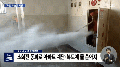 2026년 1월 5일 (월) 19:21 판의 섬네일