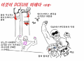 2026년 1월 5일 (월) 19:10 판의 섬네일
