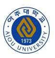 2026년 1월 5일 (월) 19:22 판의 섬네일