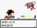 2026년 1월 5일 (월) 19:12 판의 섬네일