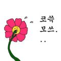 2026년 1월 5일 (월) 19:20 판의 섬네일