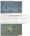 2026년 1월 5일 (월) 19:08 판의 섬네일