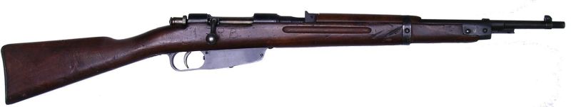 파일:Carcano 1869.jpg