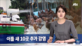 2026년 1월 5일 (월) 19:15 판의 섬네일