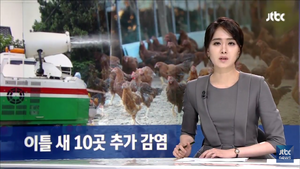 안나경.png