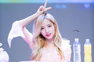 Bona.JPG