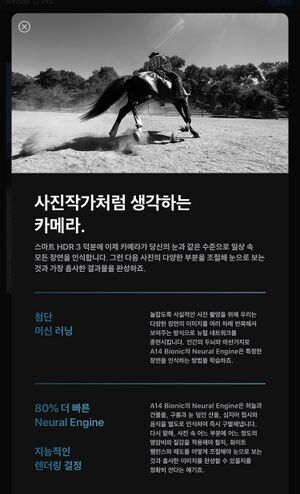 아1245.jpg