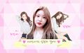 2026년 1월 5일 (월) 19:21 판의 섬네일