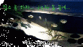2026년 1월 5일 (월) 19:08 판의 섬네일