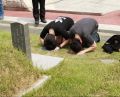 2026년 1월 5일 (월) 19:19 판의 섬네일