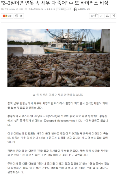 파일:짱깨발 십각류 무지개 바이러스.png