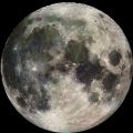 2026년 1월 5일 (월) 19:17 판의 섬네일