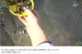 2026년 1월 5일 (월) 19:11 판의 섬네일