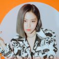 2026년 1월 5일 (월) 19:13 판의 섬네일