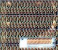 2026년 1월 5일 (월) 19:09 판의 섬네일