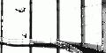2026년 1월 5일 (월) 19:15 판의 섬네일