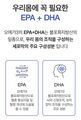 2026년 3월 15일 (일) 23:26 판의 섬네일