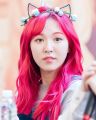 2026년 1월 5일 (월) 19:21 판의 섬네일