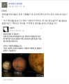 2026년 1월 5일 (월) 19:13 판의 섬네일