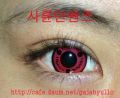 2026년 1월 5일 (월) 19:08 판의 섬네일